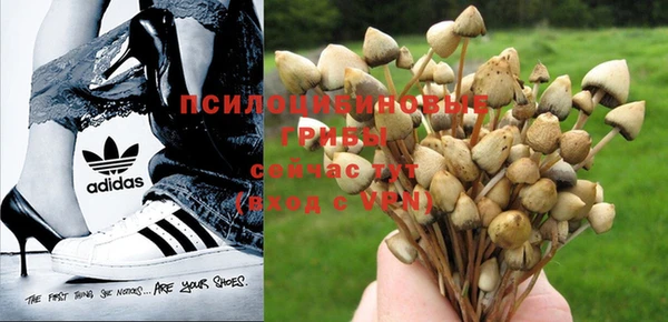 мескалин Белокуриха